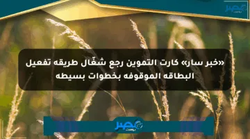 «خبر سار» كارت التموين رجع شغّال طريقة تفعيل البطاقة الموقوفة بخطوات بسيطة